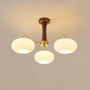 Dome Ceiling Light Semi Flush Chandelier