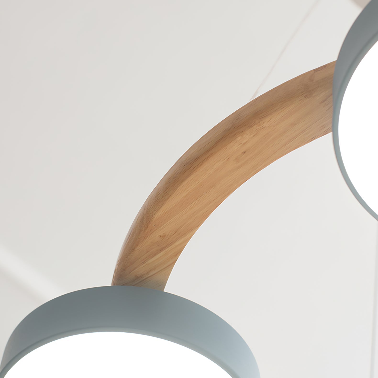 Ring Chandelier with Bird Detail | Pendant Light