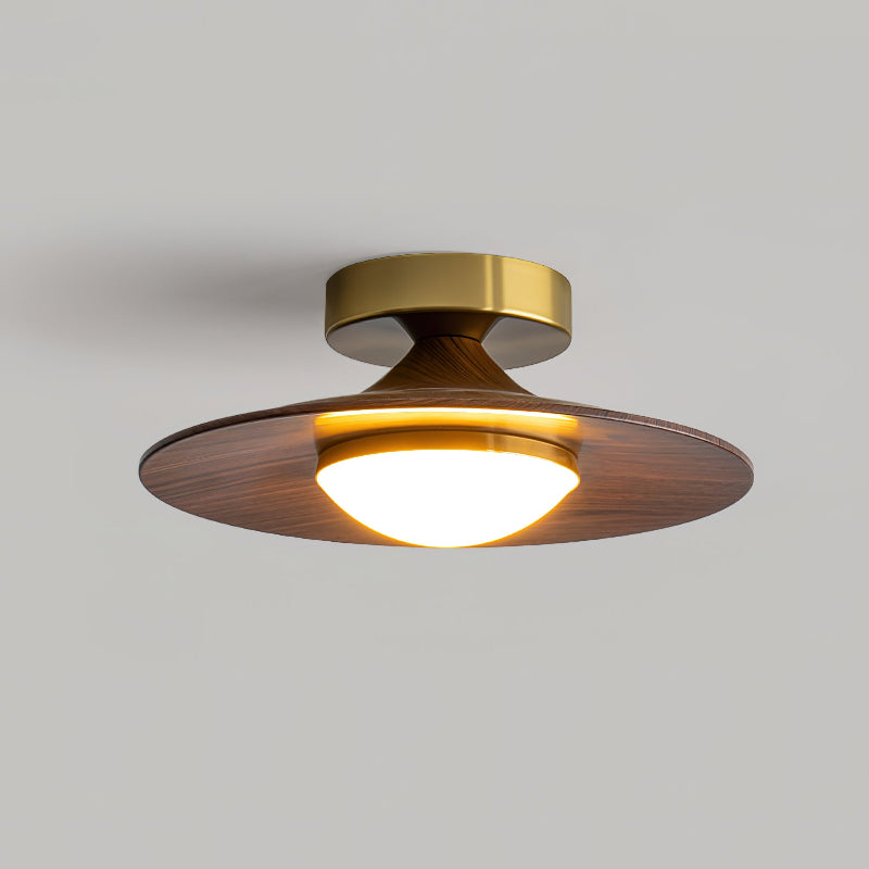 Semi Flush Ceiling Light | Modern LED Ceiling Fixture
