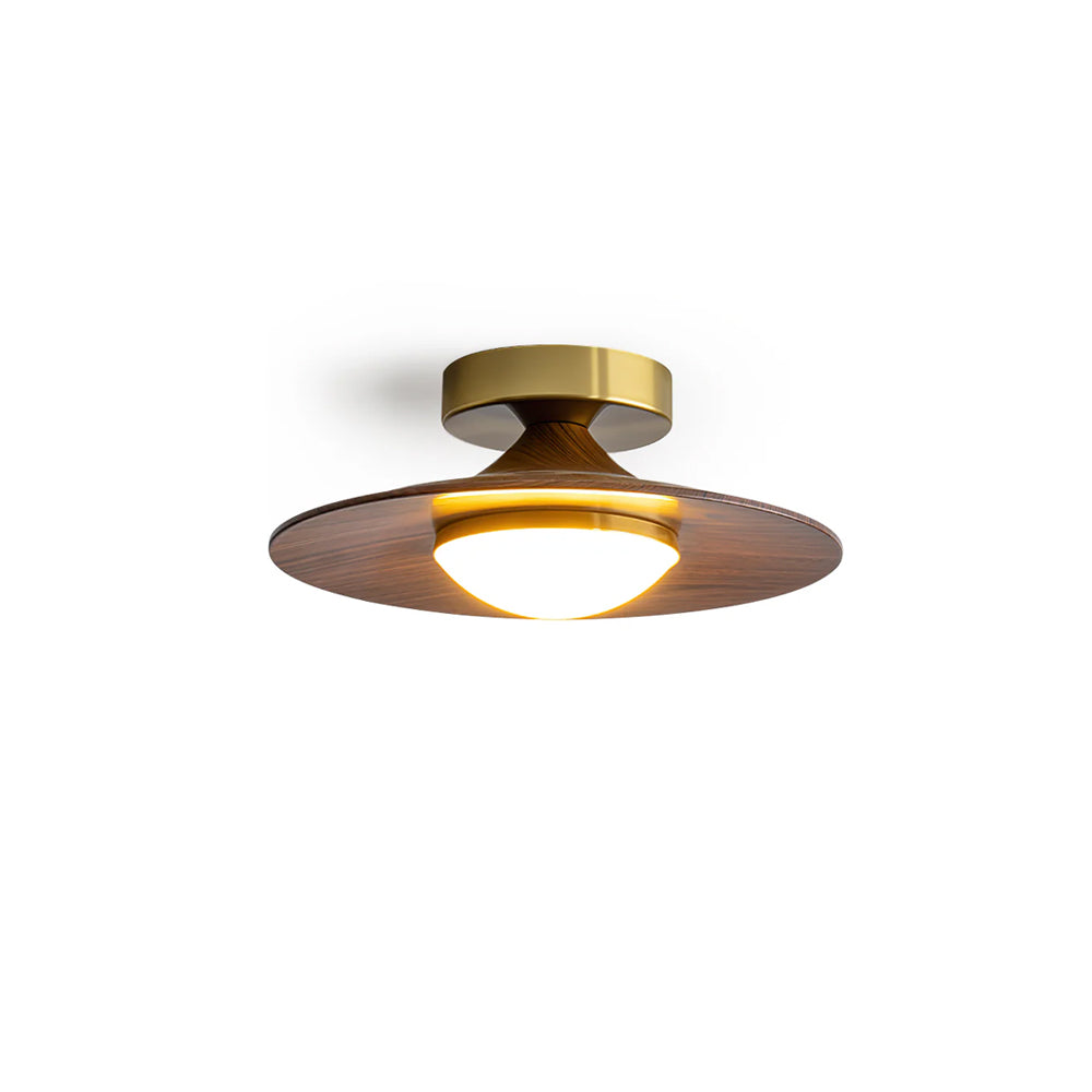 Semi Flush Ceiling Light | Modern LED Ceiling Fixture