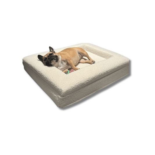 Modern Dog Bed | Memory Foam Support Raised Edge