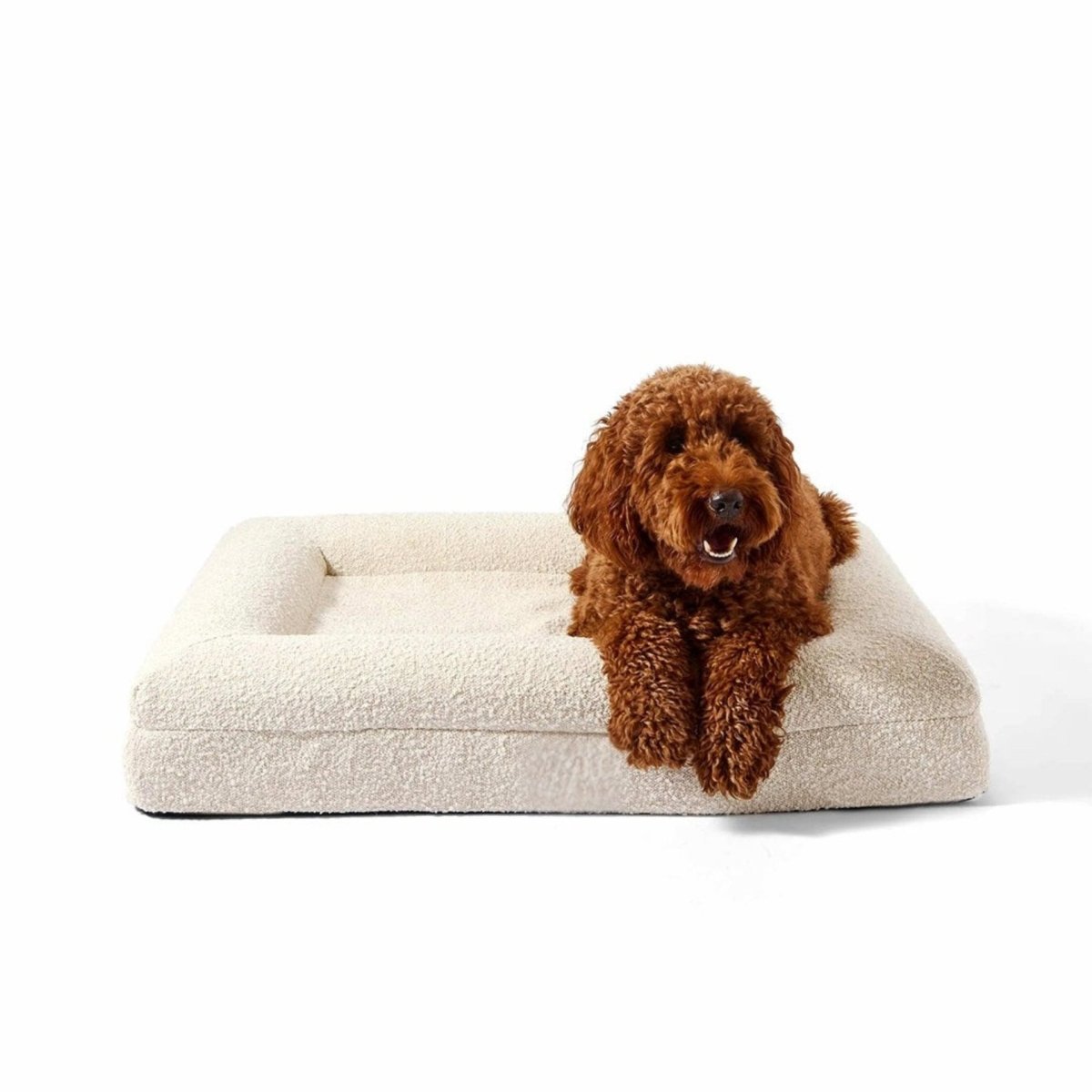 Modern Dog Bed | Memory Foam Support Raised Edge