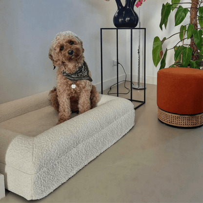 Modern Dog Bed | Memory Foam Support Raised Edge
