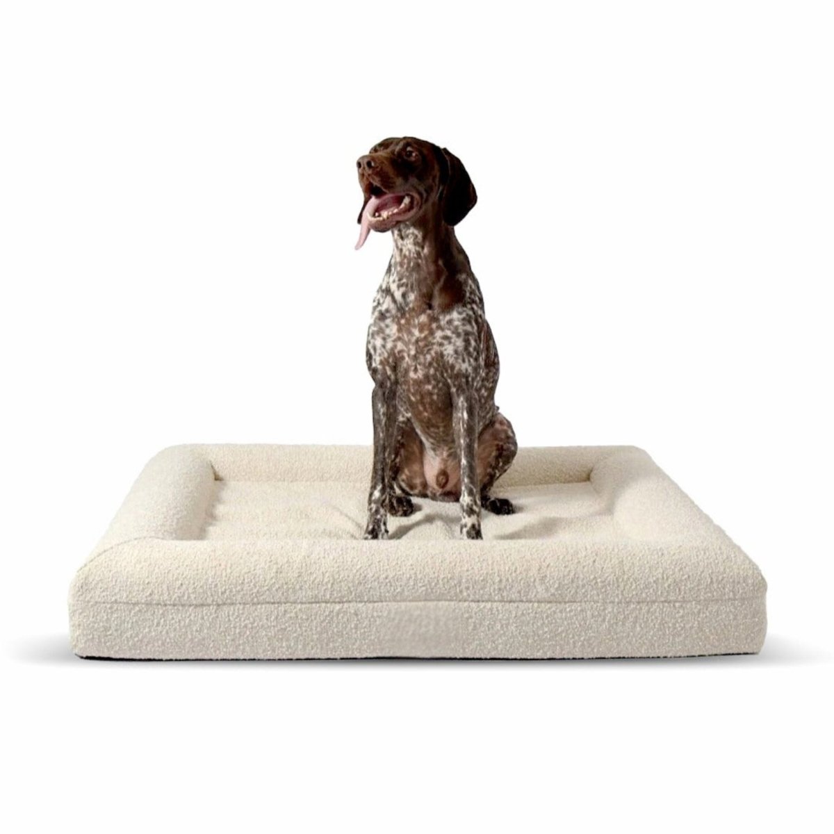 Modern Dog Bed | Memory Foam Support Raised Edge