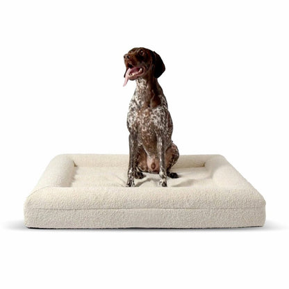 Modern Dog Bed | Memory Foam Support Raised Edge