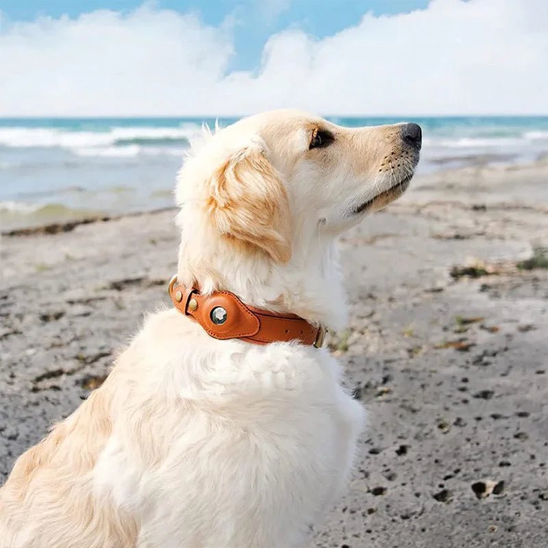 Smart Tracker Dog Collar | Adjustable Waterproof for Pet Safety