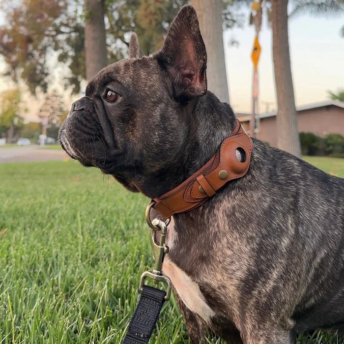 Smart Tracker Dog Collar | Adjustable Waterproof for Pet Safety