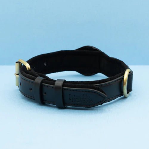 Smart Tracker Dog Collar | Adjustable Waterproof for Pet Safety