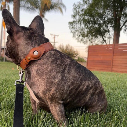 Smart Tracker Dog Collar | Adjustable Waterproof for Pet Safety