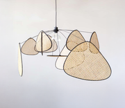 Asymmetric Pendant Light | Organic Statement Lighting