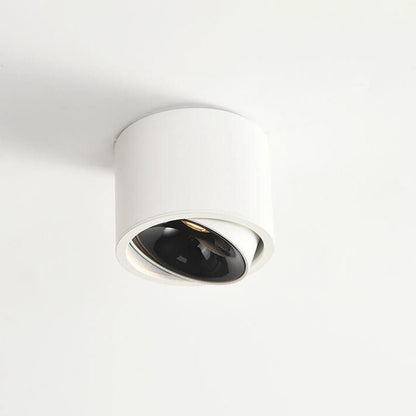 Modern Minimalist LED Flush Mount Ceiling Spotlight Round