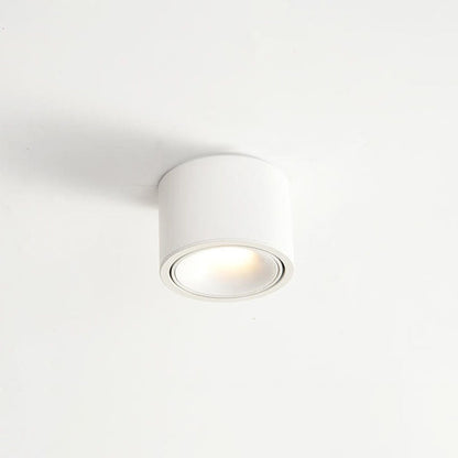 Modern Minimalist LED Flush Mount Ceiling Spotlight Round