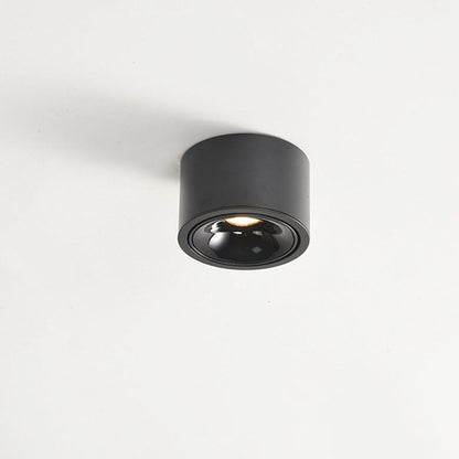 Modern Minimalist LED Flush Mount Ceiling Spotlight Round