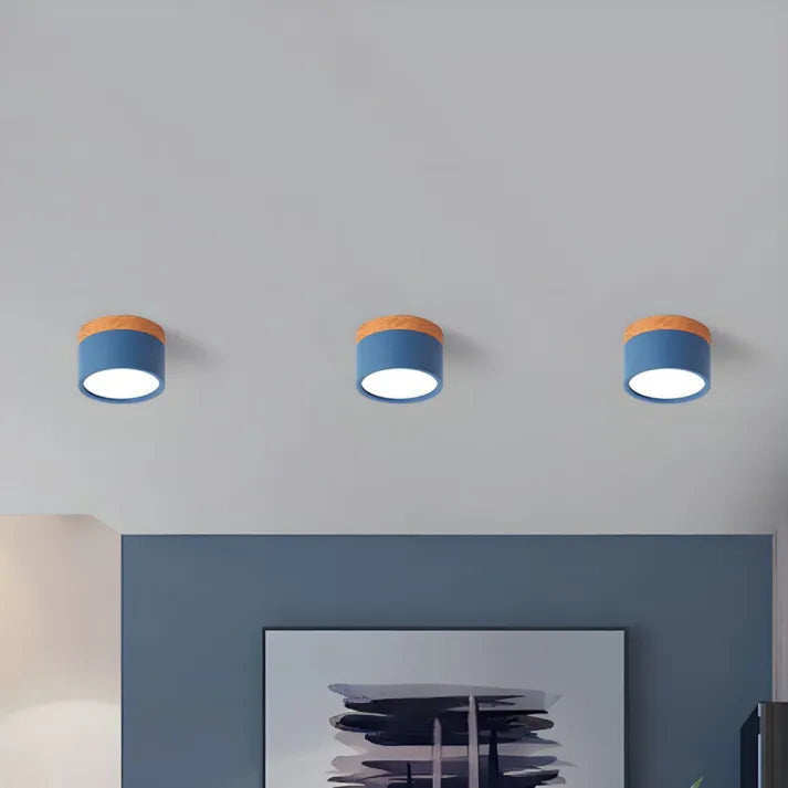 LED Ceiling Spot Light | Cylinder Flush Mount For Hallway Corridor Living Room