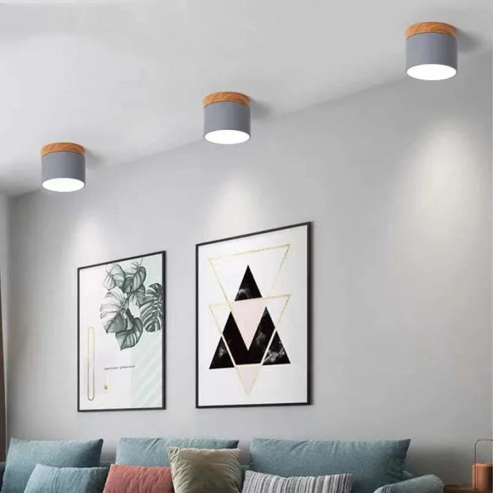 LED Ceiling Spot Light | Cylinder Flush Mount For Hallway Corridor Living Room