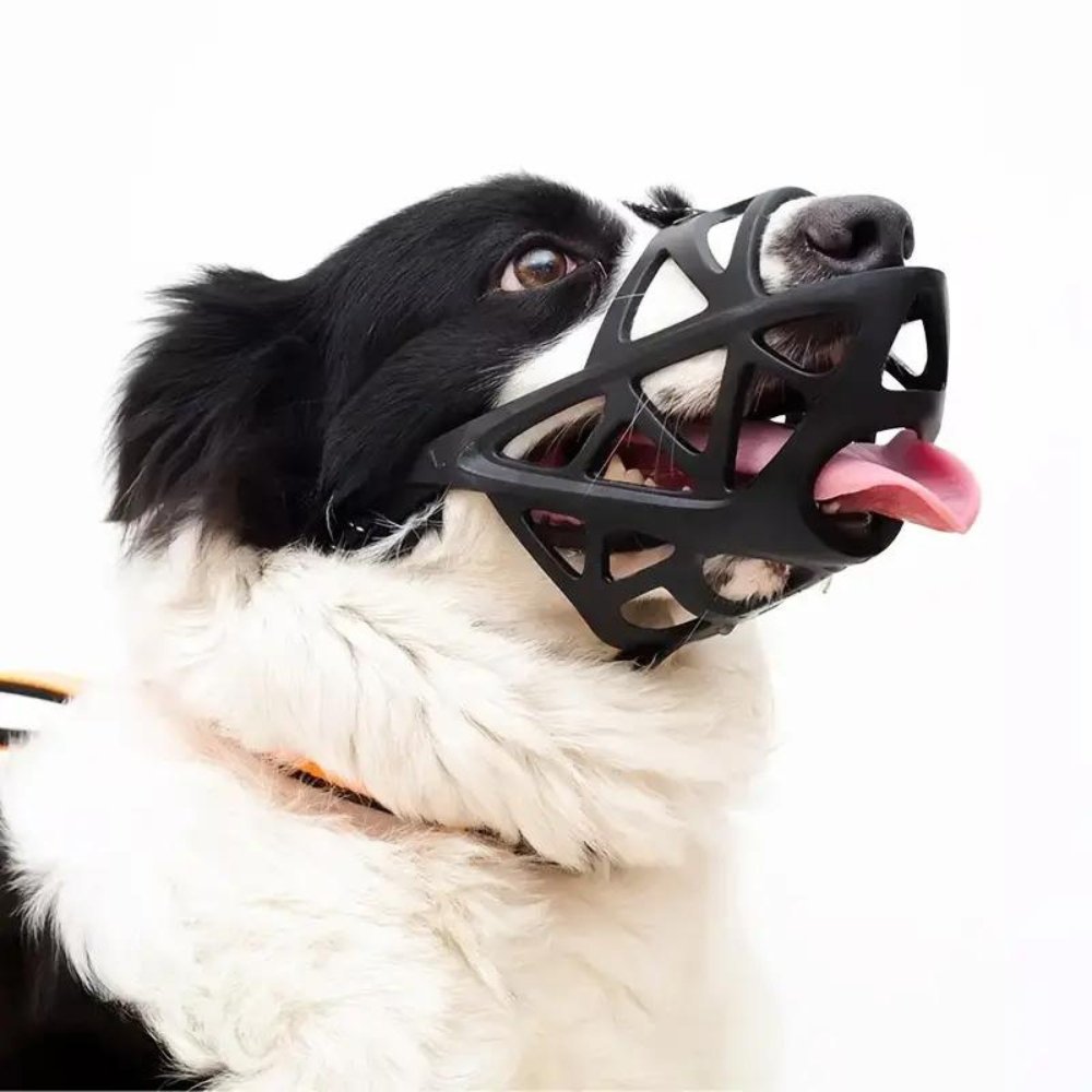 Dog Muzzle | Secure Adjustable for Training and Walks