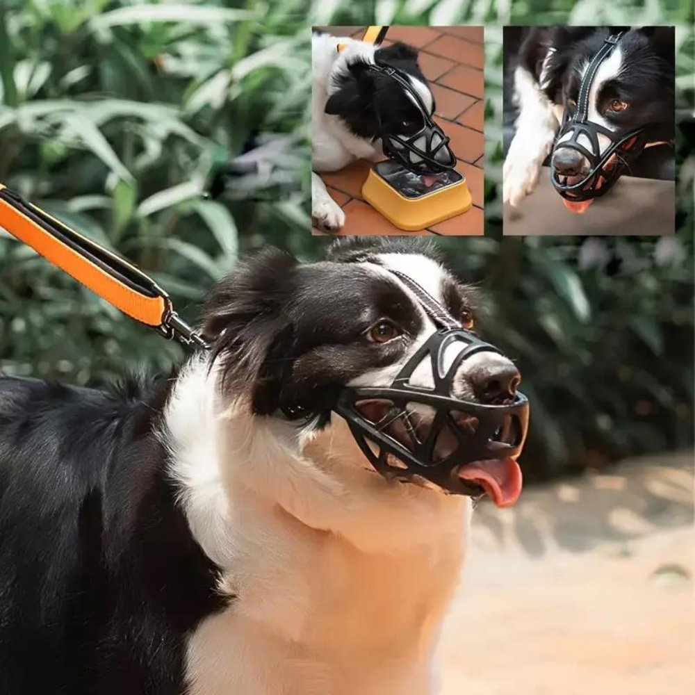 Dog Muzzle | Secure Adjustable for Training and Walks