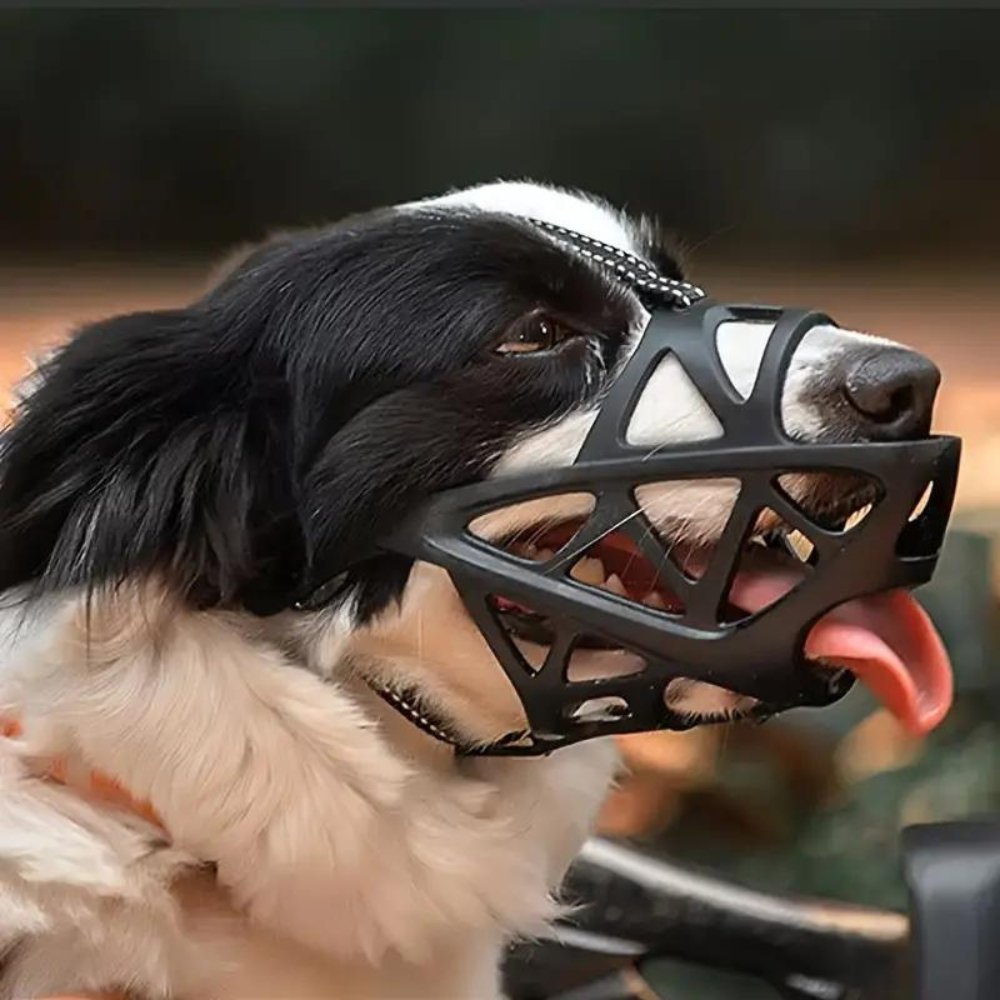 Dog Muzzle | Secure Adjustable for Training and Walks