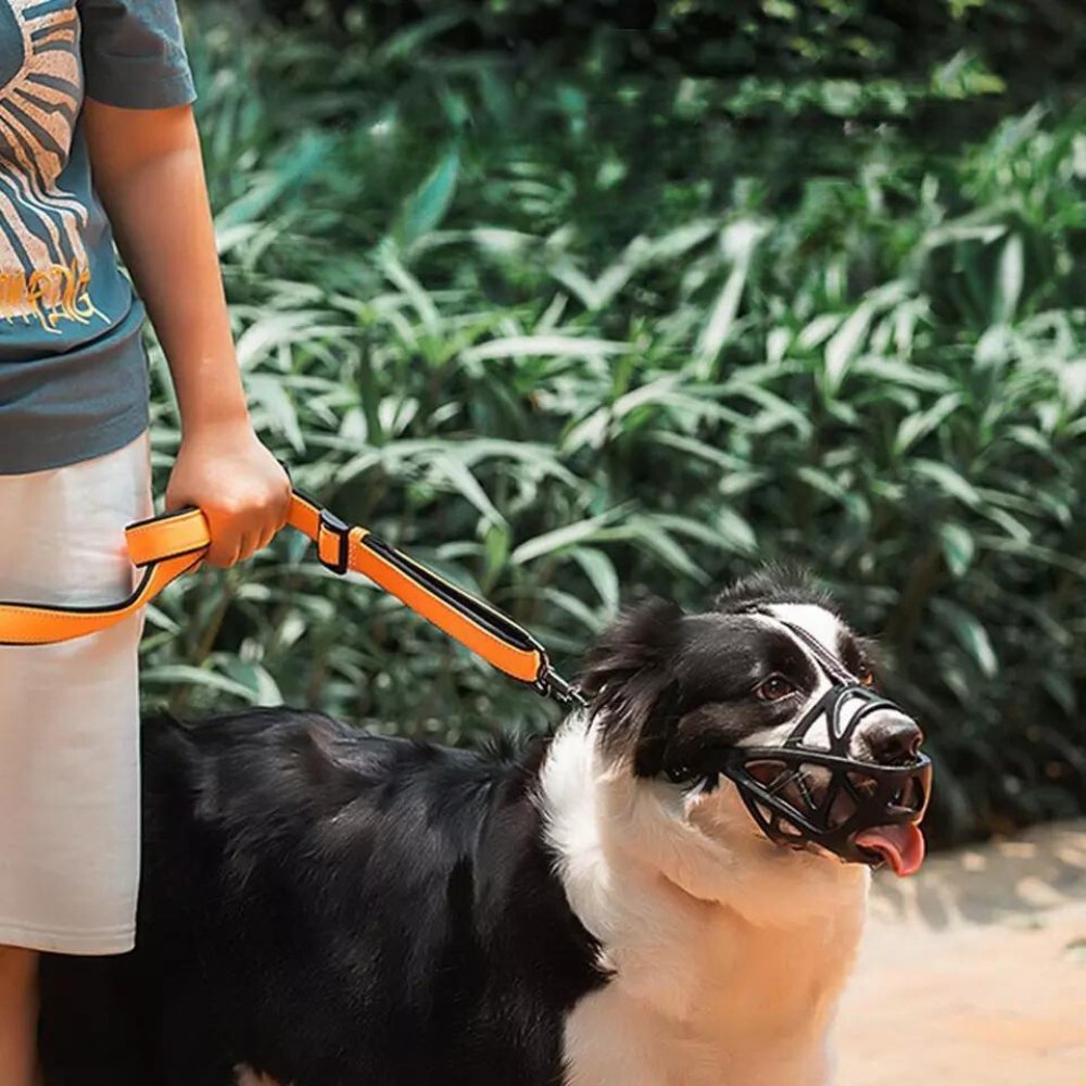 Dog Muzzle | Secure Adjustable for Training and Walks