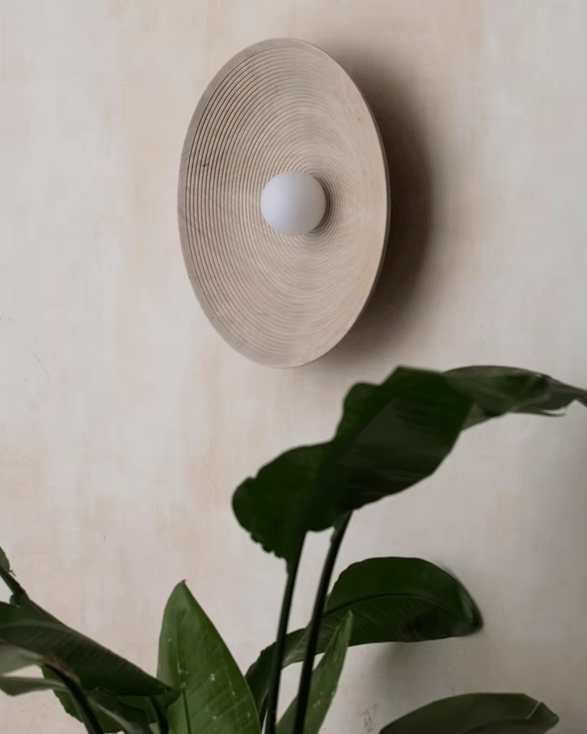 Round Wall Light | Organic Minimalist Accent Lighting