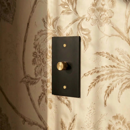 Architectural Brass 3-Way Rotary Dimmer Switch Knob Back