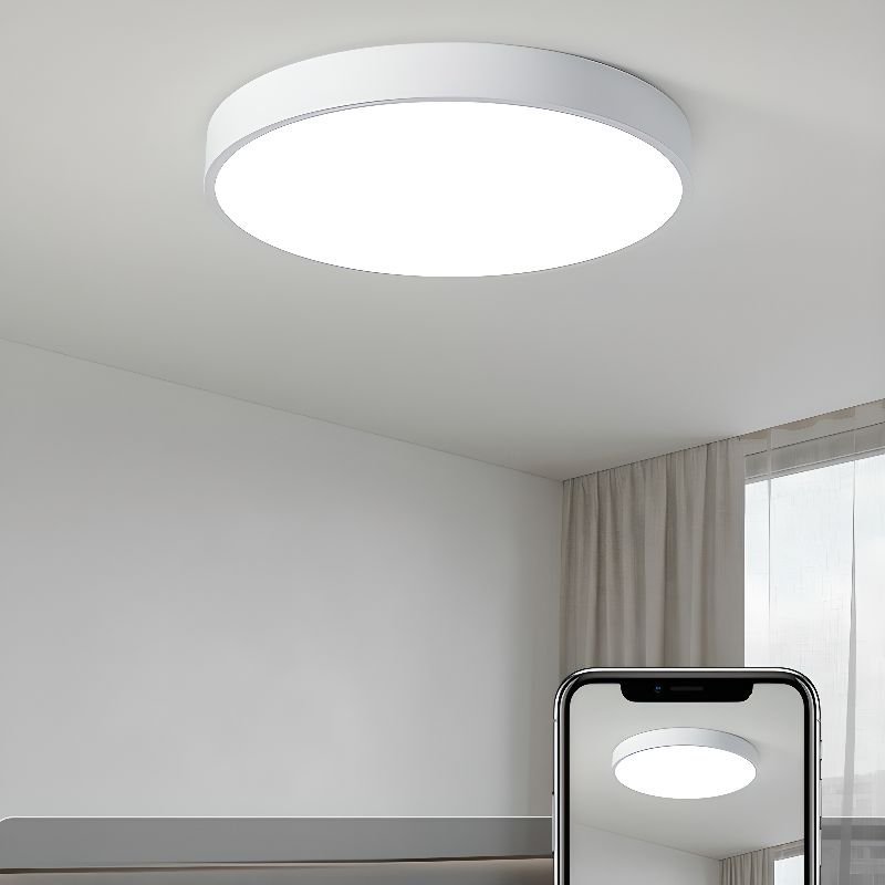 Circular Flush Mount LED Ceiling Lights View 22