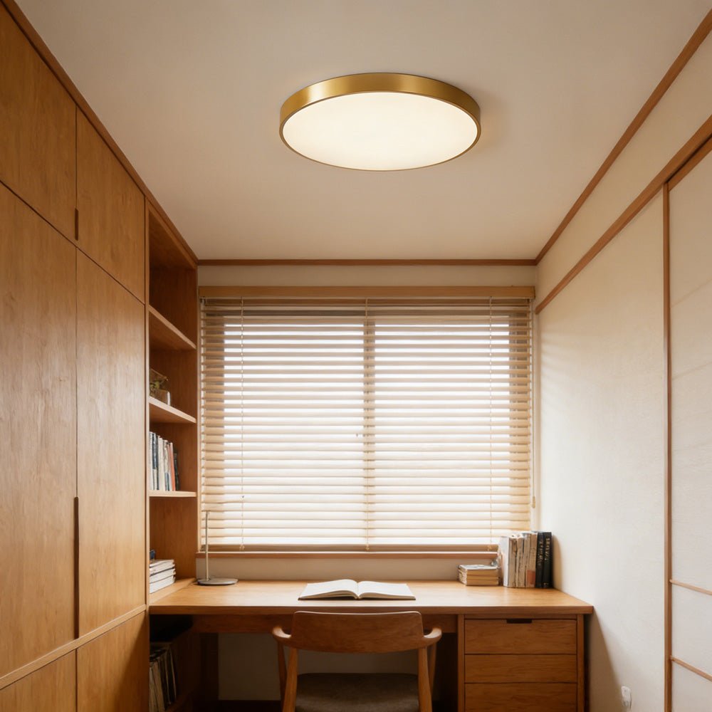 Circular Flush Mount LED Ceiling Lights View 31