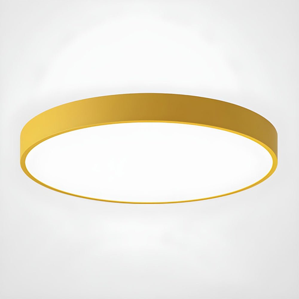 Circular Flush Mount LED Ceiling Lights View 53