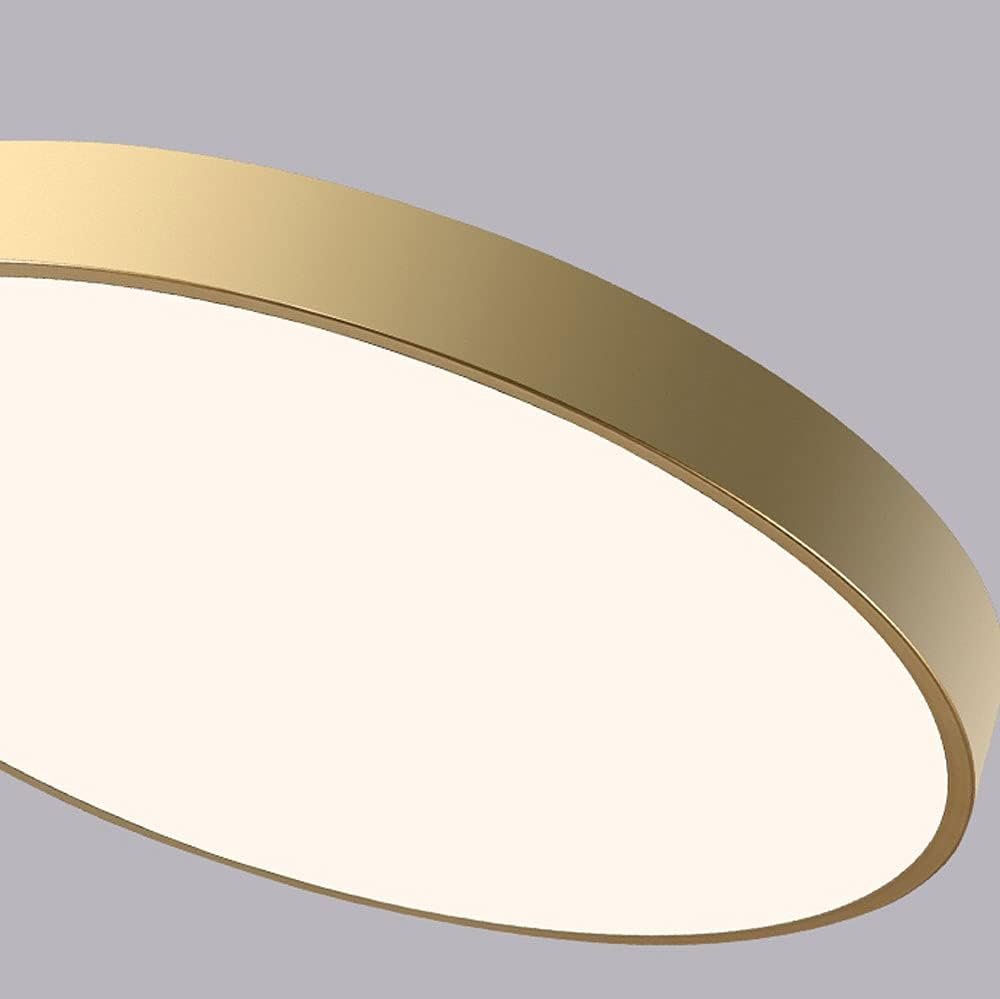 Circular Flush Mount LED Ceiling Lights View 60