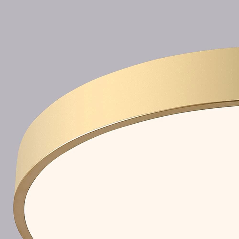 Circular Flush Mount LED Ceiling Lights View 61