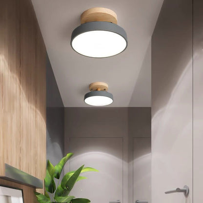 Colorful Semi-flush LED Ceiling Lights Detail