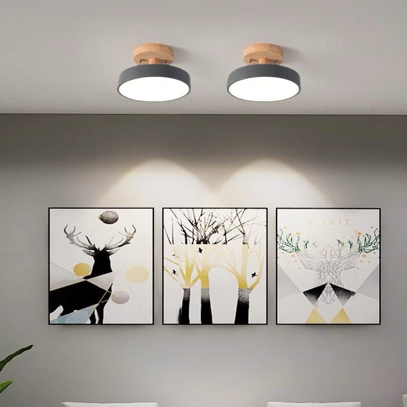Colorful Semi-flush LED Ceiling Lights Side