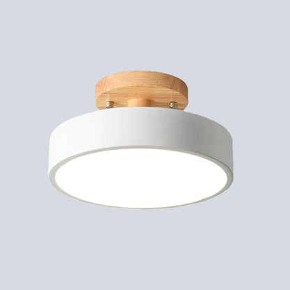 Colorful Semi-flush LED Ceiling Lights View 11