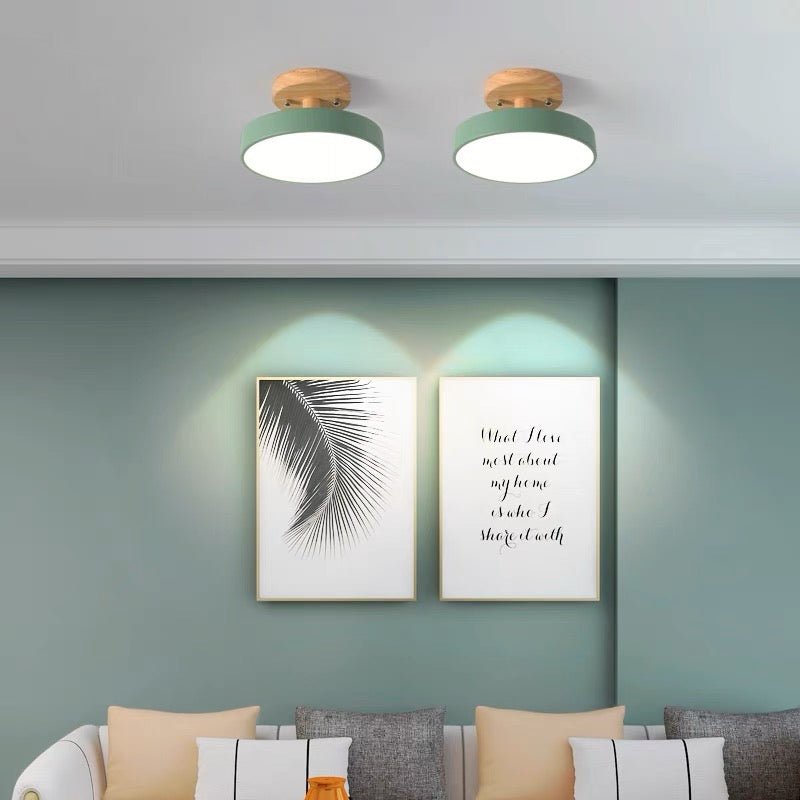 Colorful Semi-flush LED Ceiling Lights View 15
