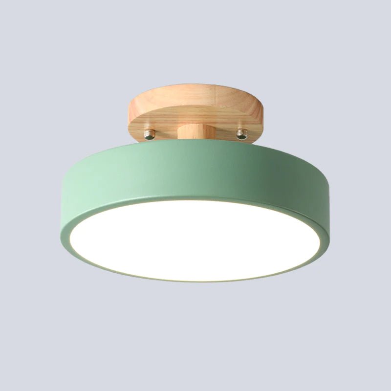 Colorful Semi-flush LED Ceiling Lights View 16