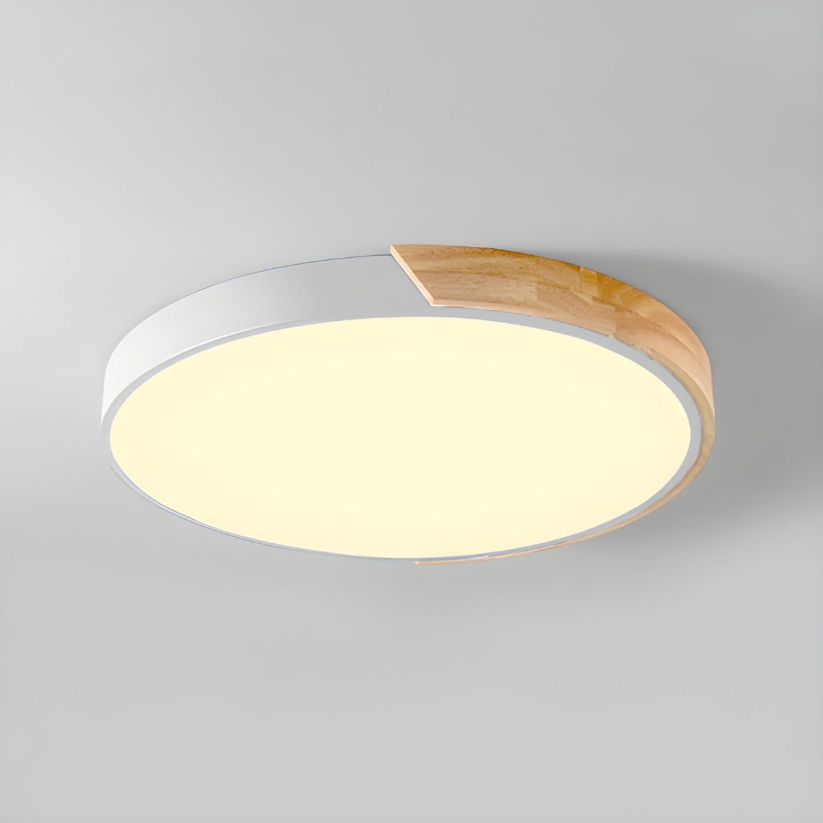 Colorful Simple LED Round Ceiling Lights Back