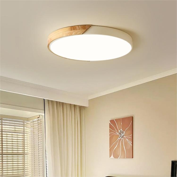 Colorful Simple LED Round Ceiling Lights Front