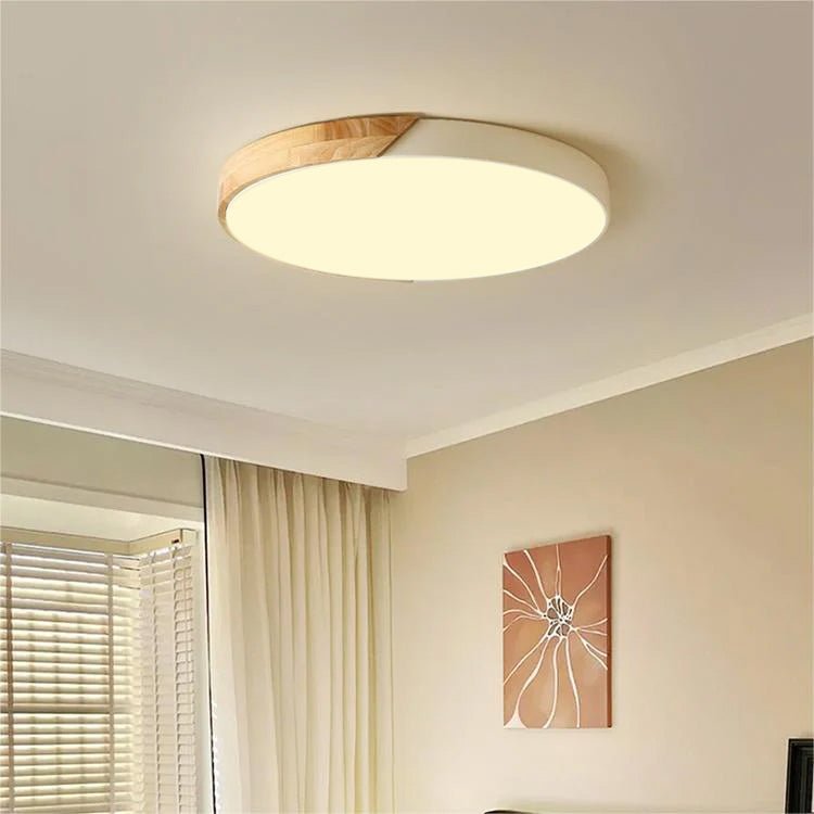 Colorful Simple LED Round Ceiling Lights Side