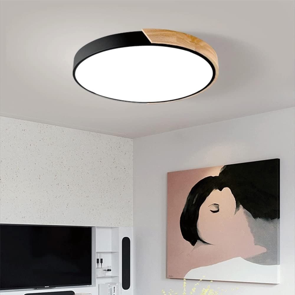 Colorful Simple LED Round Ceiling Lights View 11