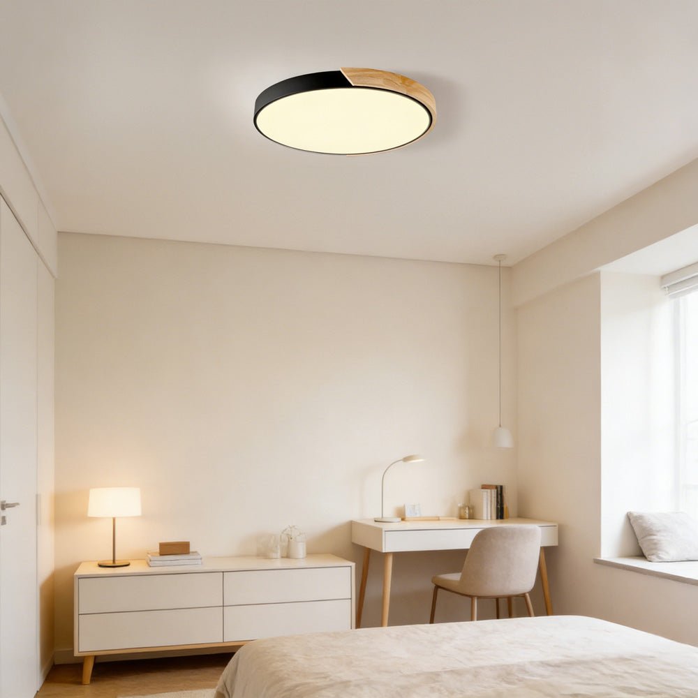 Colorful Simple LED Round Ceiling Lights View 12