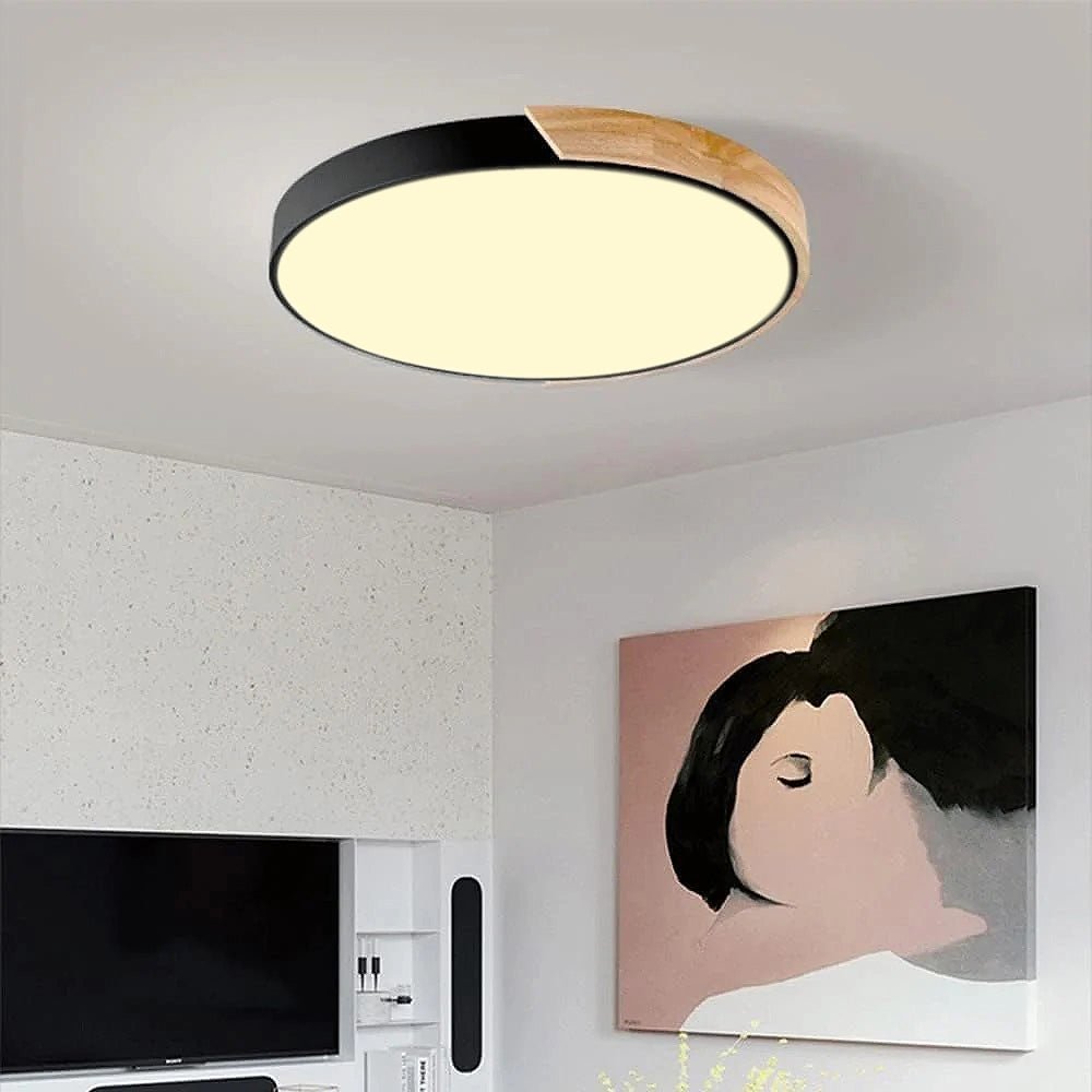 Colorful Simple LED Round Ceiling Lights View 16