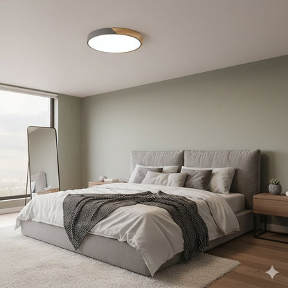 Colorful Simple LED Round Ceiling Lights View 19