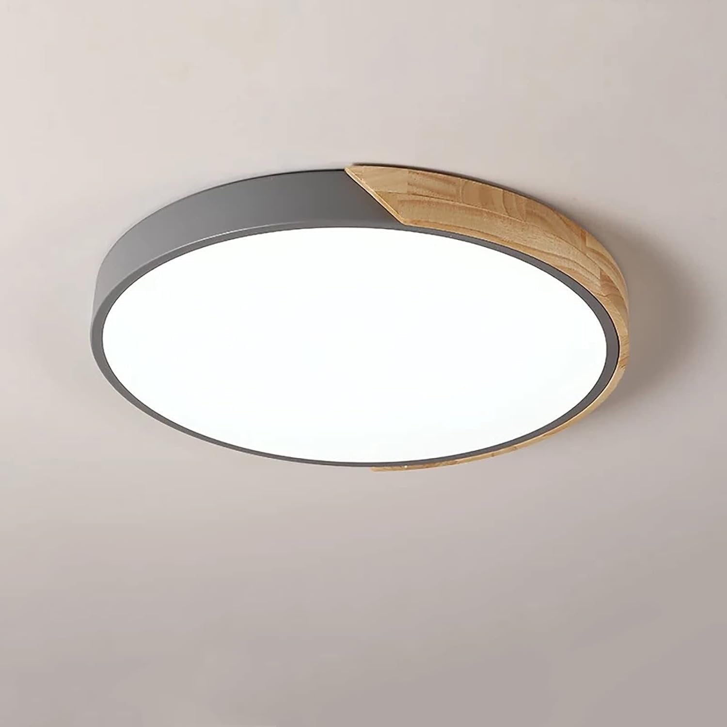 Colorful Simple LED Round Ceiling Lights View 20