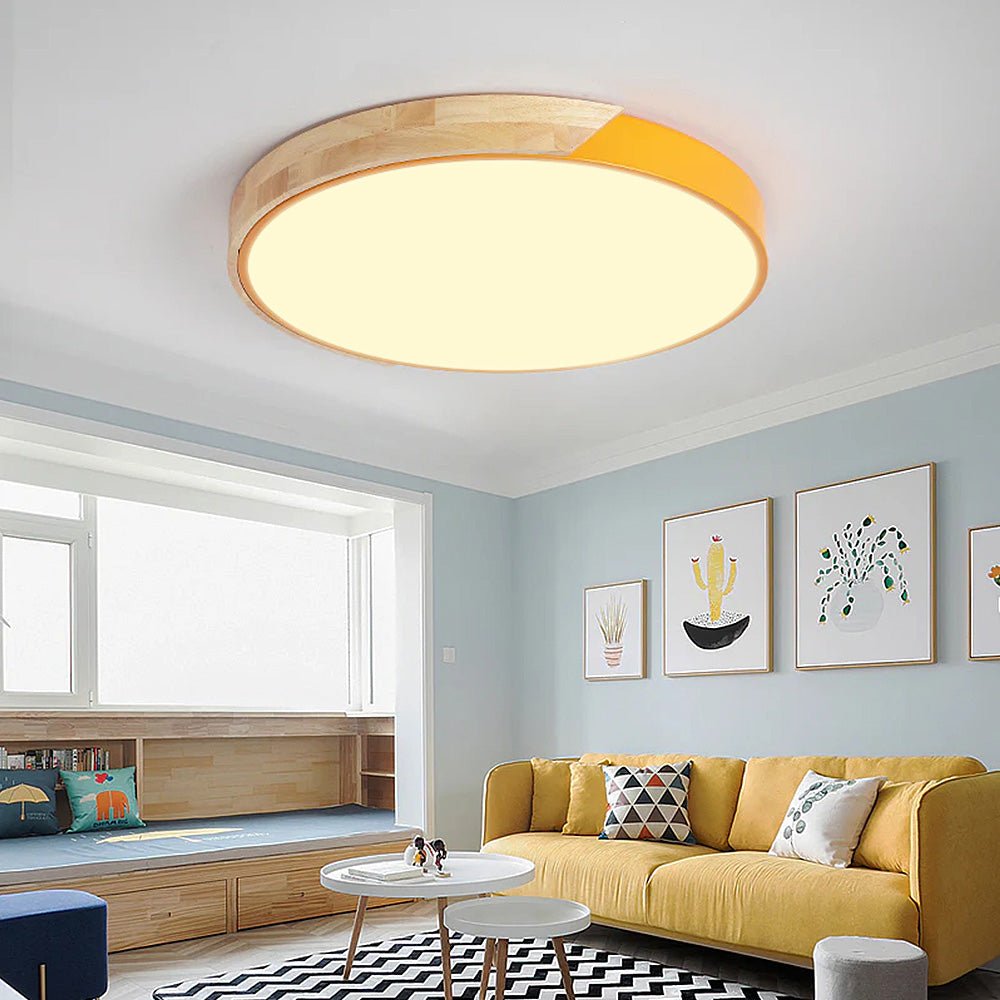 Colorful Simple LED Round Ceiling Lights View 24