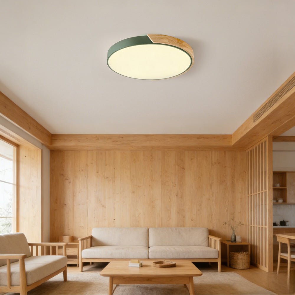 Colorful Simple LED Round Ceiling Lights View 30