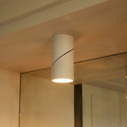 Contemporary Metal Downlight Tilting Cylinder Head Alternate