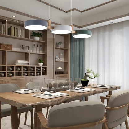 Contemporary Wood Metal Pendant Light Coloured Disc LED Detail