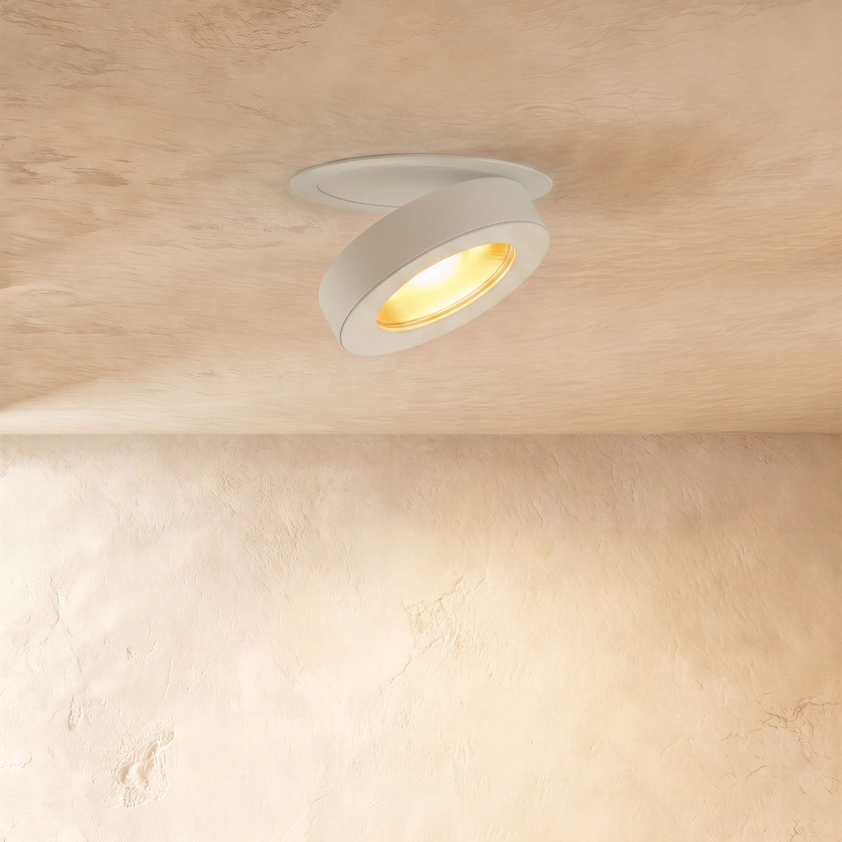 Industrial Aluminum Downlight Rotating Tilted Head LED Back