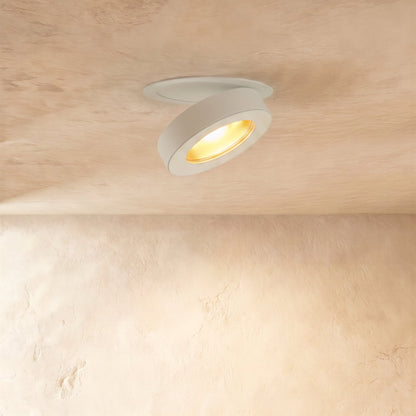 Industrial Aluminum Downlight Rotating Tilted Head LED Back