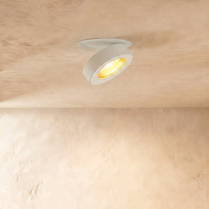 Industrial Aluminum Downlight Rotating Tilted Head LED Side